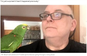声の正体だったキエリボウシインコの“フレディ”と飼い主のスティーヴさん。警察官らの素早い対応にスティーヴさんは感心していた（画像は『BBC　2023年7月7日付「Essex police search for screaming woman finds pet parrot」（STEVE WOOD）』のスクリーンショット）