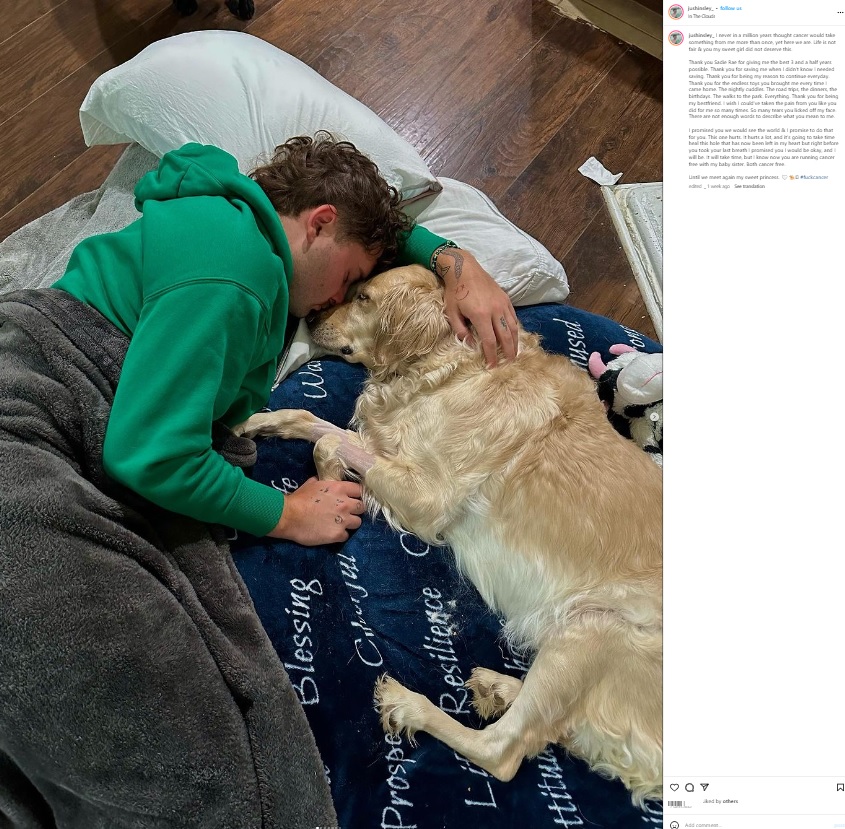 米テキサス州に住むジャスティンさんが、娘のように可愛がってきた愛犬“サディ（Sadie、3）。今月初めに脊椎の末期がんと診断され、16日に別れの時が来たことを知らせたという（画像は『Justin Hinsley　2023年7月17日付Instagram「I never in a million years」』のスクリーンショット）