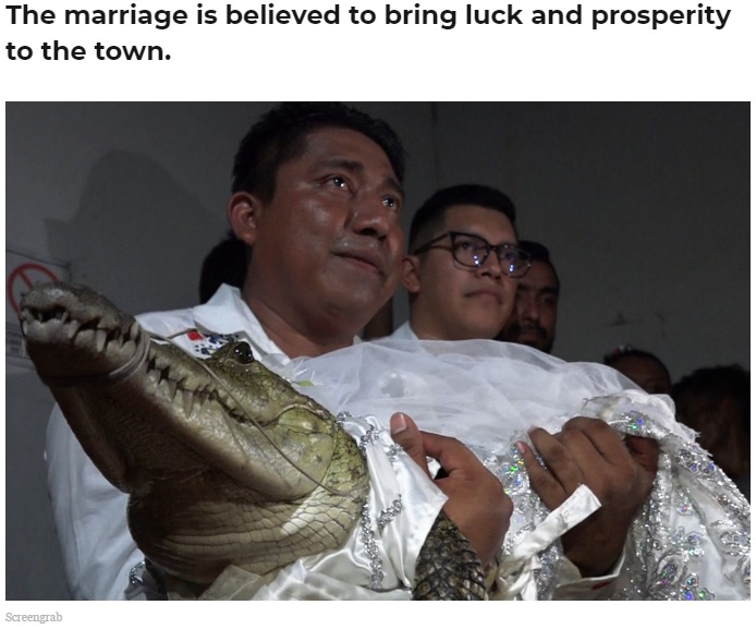 “新婦”のカイマンを抱きかかえた新郎の町長。メキシコのサン・ペドロ・ウアメルラという町では長年、男性とメスのカイマンの結婚式が行われているそうだ（画像は『Indiatimes.com　2023年7月4日付「Mexico Mayor Marries Alligator-Like Reptile, Who He Calls ‘Princess Girl’, For Good Luck」（Screengrab）』のスクリーンショット）