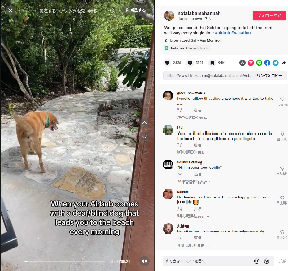 民泊代行サービス「Airbnb」を利用して、海沿いにある宿泊施設を利用した女性。朝になると、玄関の前でホストの愛犬が待っていた（画像は『Hannah brown　2023年7月5日付TikTok「We get so scared that Soldier is going to fall off the front walkway every single time」』のスクリーンショット）