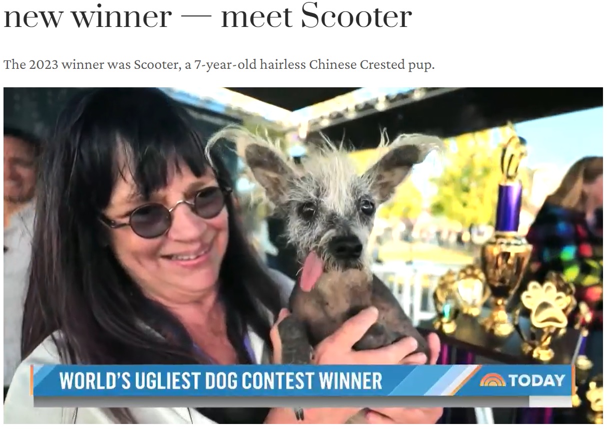 米カリフォルニア州で開催された「世界一醜い犬コンテスト」でチャンピオンに輝いたのは、チャイニーズ・クレステッド・ドッグの“スクーター”だった（画像は『TODAY　2023年6月24日付「The ‘World’s Ugliest Dog’ competition has a new winner ― meet Scooter」』のスクリーンショット）
