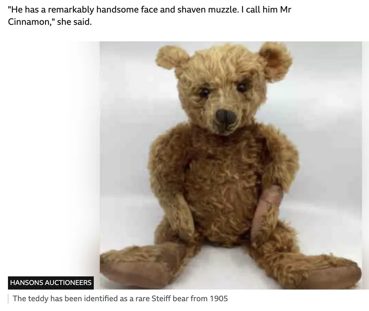 シュタイフ社が1905年に制作し、希少価値が高いと判明したテディベアの“ミスター・シナモン”（画像は『BBC　2023年8月10日付「Monmouth: Teddy bear found at car boot sale could sell for ￡6,000」（HANSONS AUCTIONEERS）』のスクリーンショット）
