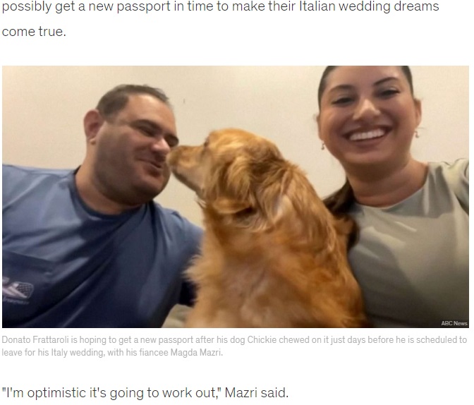 パスポートを食べてしまい、危うく2人のイタリア海外挙式を台無しにしてしまうところだったチッキー。地元選出議員らの働きかけもあって、何とか再発行が間に合うようだ。ドナートさん（左）とマグダさん（右）もこれで、一安心（画像は『Good Morning America　2023年8月21日付「Dog eats groom-to-be’s passport weeks before international wedding」（ABC News）』のスクリーンショット）