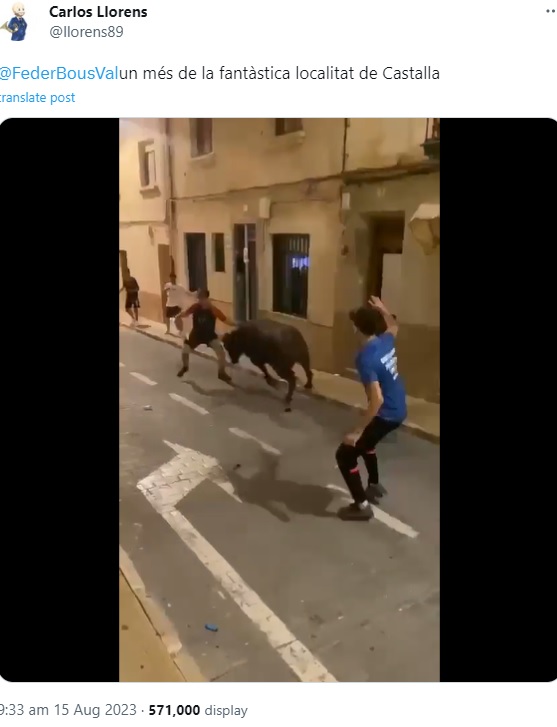 スペイン、バレンシア州南方アリカンテ県の牛祭り「Fiestas de Vaca」で今月中旬、19歳の男性が雄牛に襲われた（画像は『Carlos Llorens　2023年8月15日付Twitter「＠FederBousVal　un més de la fantàstica localitat de Castalla」』のスクリーンショット）
