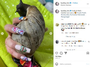 クリスさんが飼い始めたアフリカマイマイ。TikTokに動画を投稿すると大きな注目を集め、カタツムリの繁殖ビジネスで生活できるようになった（画像は『Kris Buckley　2023年4月22日付Instagram「Snails ＆ Nails - Günther we Love u」』のスクリーンショット）