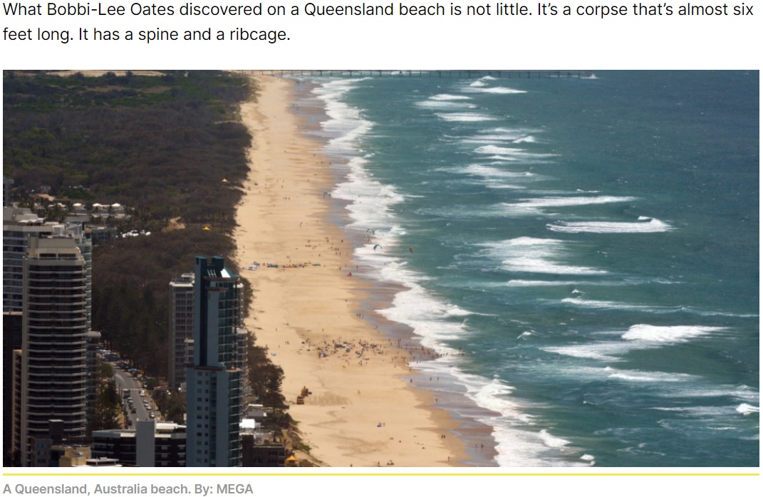 これまでにビーチでは、さまざまな物体や謎の生物が発見されている。この豪クイーンズランド州のビーチでは、人魚を思わせる謎の死骸が発見された（画像は『Knewz　2023年7月13日付「Mystery Corpse Washed Up On Australian Beach. Now People Are Convinced Mermaids Are Real.」（By: MEGA）』のスクリーンショット）
