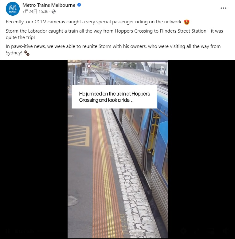 がらんとしたホームにやってきた電車。ある“乗客”が乗り込むと、ドアが閉まってそのまま発車してしまった（画像は『Metro Trains Melbourne　2023年7月24日付Facebook「Recently, our CCTV cameras caught a very special passenger riding on the network.」』のスクリーンショット）