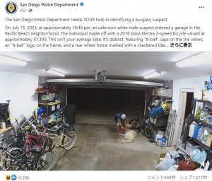 自転車を盗む男を見た犬は、遊び相手と勘違いしたのだろうか。嬉しそうに男に近づくと、撫でられていた。そして気を許して地面に横になった（画像は『San Diego Police Department　2023年8月3日付Facebook「The San Diego Police Department needs YOUR help in identifying a burglary suspect.」』のスクリーンショット）