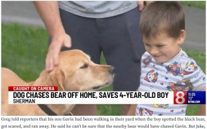 【海外発！Breaking News】庭で遊ぶ4歳男児の危機を察知した愛犬、クマを追い払い守り切る（米）＜動画あり＞
