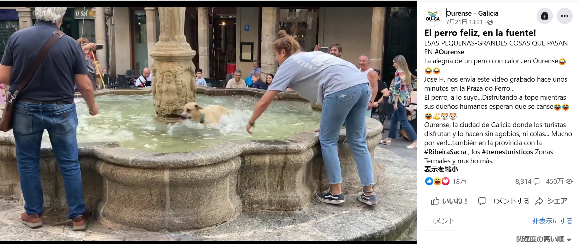噴水を見つけた犬。リードを付けていたが、飼い主が手を緩めた隙を狙い、一目散に走り出した（画像は『Ourense - Galicia　2023年7月21日付Facebook「ESAS PEQUEÑAS-GRANDES COSAS QUE PASAN EN」』のスクリーンショット）