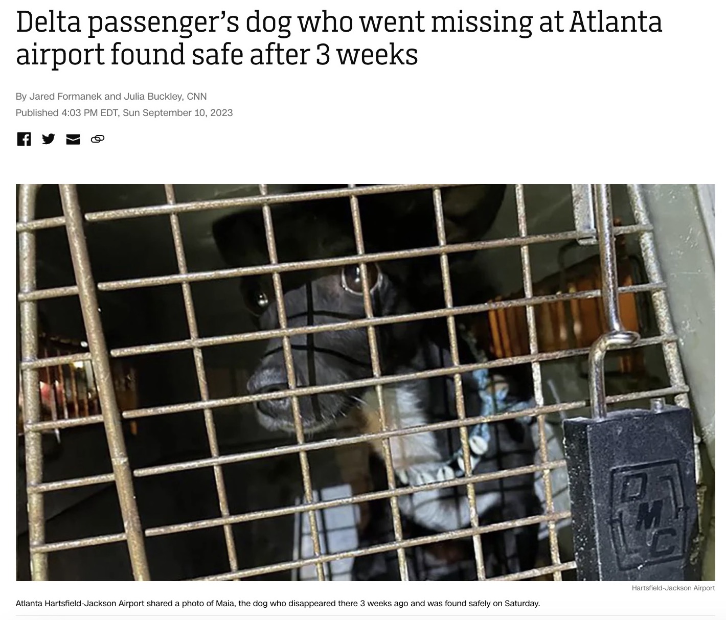 米ジョージア州のハーツフィールド・ジャクソン・アトランタ国際空港で約3週間も行方不明だった犬（画像は『CNN　2023年9月10日付「Delta passenger’s dog who went missing at Atlanta airport found safe after 3 weeks」（Hartsfield-Jackson Airport）』のスクリーンショット）