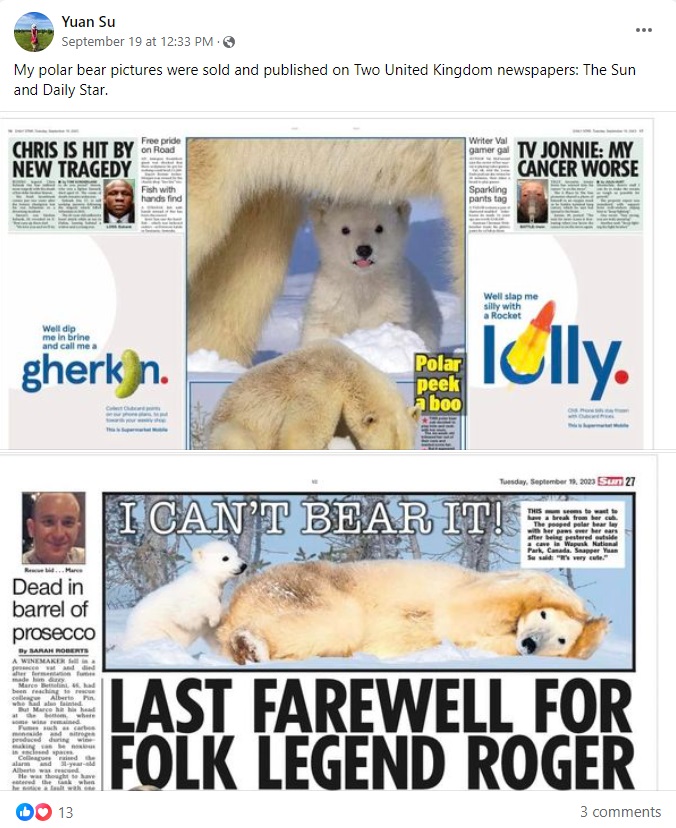 自身の写真がイギリスの2紙に掲載されたと、喜びの声とともに紙面のスクリーンショット投稿したユアンさん（画像は『Yuan Su　2023年9月19日付Facebook「My polar bear pictures were sold and published on Two United Kingdom newspapers: The Sun and Daily Star.」』のスクリーンショット）