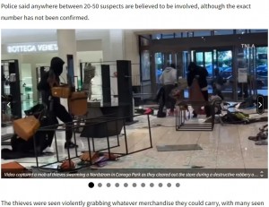 ノードストロームのメインフロアを駆け抜け、店員や買い物客がいる目の前で、数万ドル相当の品物を掴んでドアから走り出す強盗グループ（画像は『KTLA　2023年8月14日付「Video captures mob of robbers swarming Nordstrom in Topanga mall」（TNLA）』のスクリーンショット）