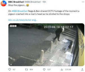 マイケルさんはその後、コンビニの店長と一緒に監視カメラの映像を確認し、2人で大笑いしたという（画像は『BBC Breakfast　2023年9月21日付X「Stop the pigeon...」』のスクリーンショット）