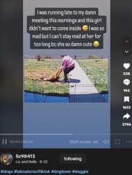 【海外発！Breaking News】「シカを仕留めたの？」家に入りたくない犬が飼い主に引きずられる姿に大爆笑（米）＜動画あり＞