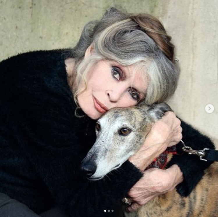女優引退から半世紀が経ち、近年は精力的に動物愛護活動を行うブリジット・バルドー。現地時間28日に89歳の誕生日を迎えた（画像は『Fondation Brigitte Bardot　2023年9月6日付Instagram「Brigitte Bardot, choquée et écœurée de lire que la tauromachie fasse partie de l’ADN de Paris Match !」』のスクリーンショット）
