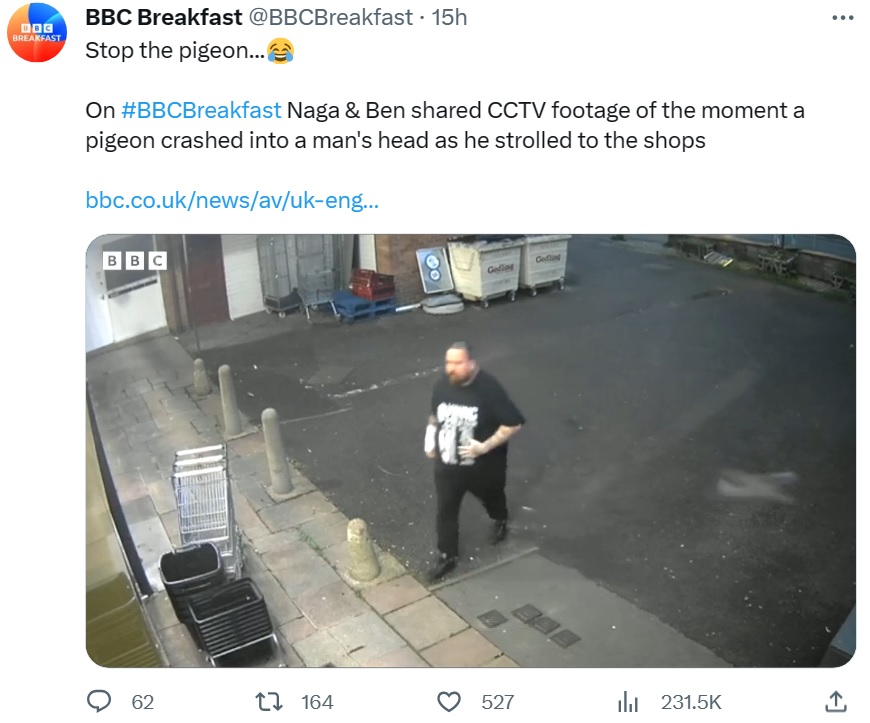 いつものように地元のコンビニを訪れた男性。入り口に向かって歩いていたところ、突然何かが頭にぶつかってきた（画像は『BBC Breakfast　2023年9月21日付X「Stop the pigeon...」』のスクリーンショット）