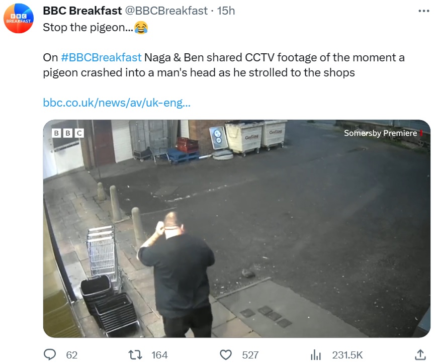 マイケルさんは状況を理解するのに時間がかかったようで、頭の左側をこすりながら、しばらくハトを見つめていた（画像は『BBC Breakfast　2023年9月21日付X「Stop the pigeon...」』のスクリーンショット）