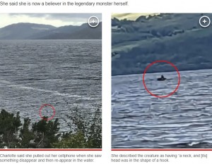 ネッシーの目撃情報を集めたウェブサイト「The Official Loch Ness Monster Sightings Register」に登録済みのシャーロットちゃんの写真。フックのような形の頭を持ち、首がある生物が写し出されている（画像は『New York Post　2023年9月1日付「‘Loch Ness monster’ was photographed twice in less than a week with snaps heralded as ‘most exciting ever’」』のスクリーンショット）