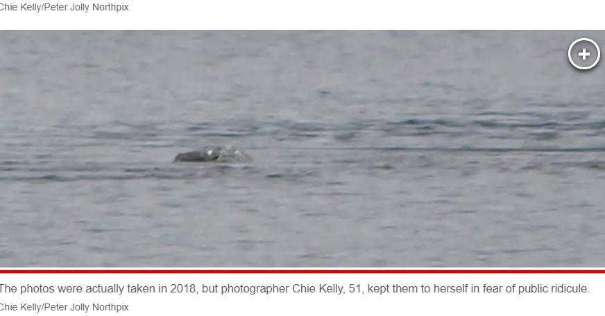 チエさんは当初、「1頭のカワウソか、カワウソのつがい、またはアザラシかとも思った」というが、水面で奇妙な動きを繰り返し、音を立てることもなかったという（画像は『New York Post　2023年8月31日付「‘New ‘sighting’ of Loch Ness monster captured in ‘most exciting’ photos ever」（Chie Kelly/Peter Jolly Northpix）』のスクリーンショット）