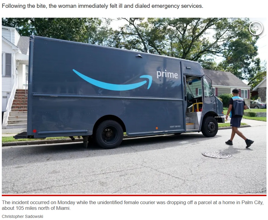 Amazon配達員はいつものように配達先の玄関に荷物を置いたが、身を潜めていた毒ヘビに脚を噛まれ、病院に運ばれた（画像は『New York Post　2023年9月19日付「Amazon driver in ‘serious condition’ after ‘highly venomous’ rattlesnake bite」（Christopher Sadowski）』のスクリーンショット）