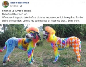 米ニューヨーク州でトリミングサロンを経営する女性が斬新なグルーミングをSNSに投稿。「犬は動物。キャンバスではない」といった批判の声が続出していた（画像は『Nicole Beckman　2020年8月31日付Facebook「Finished up Clyde’s design.」』のスクリーンショット）