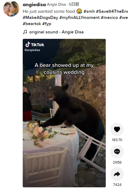2021年、ヌエボ･レオン州にあるチピンケ自然公園で開催された結婚披露宴ではクマが乱入（画像は『Angie Disa　2021年10月22日付TikTok「He just wanted some food」』のスクリーンショット）