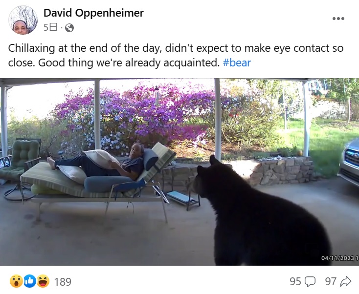 米ノースカロライナ州で今年4月、自宅の庭でくつろいでいた男性は突然やってきたクマと目を合わせてしまった（画像は『David Oppenheimer　2023年4月11日付Facebook「Chillaxing at the end of the day, didn’t expect to make eye contact so close.」』のスクリーンショット）