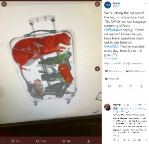 米ジョン・F・ケネディ国際空港で2022年11月、X線検査装置でスーツケースの中に生きた猫が見つかっていた（画像は『TSA　2022年11月23日付Twitter「We’re letting the cat out of the bag on a hiss-toric find.」』のスクリーンショット）