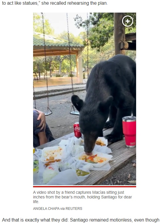 メキシコ在住の親子がピクニックを楽しんでいたところ、食べ物を狙ってテーブルの上に飛び乗ったクマ（画像は『New York Post　2023年9月27日付「Mother bravely shields her son as bear leaps on picnic table to devour tacos and enchiladas」（ANGELA CHAPA via REUTERS）』のスクリーンショット）