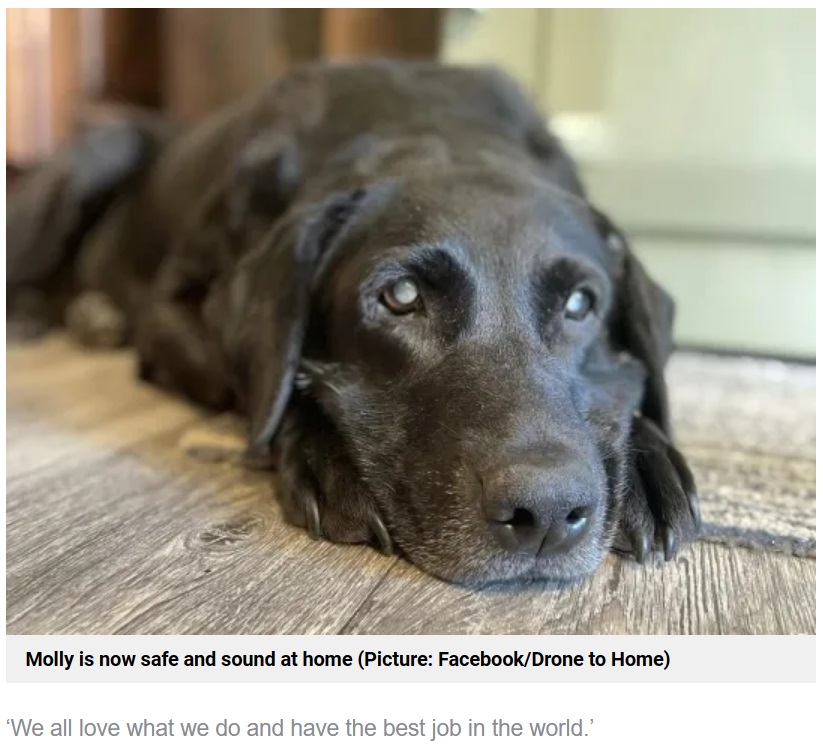 行方不明になっていた盲目の犬は、飼い主の車に乗り、無事に自宅へ帰ることができた。再会の瞬間を捉えた動画が大きな話題に（画像は『Metro　2023年10月23日付「Touching moment drone reunites missing blind dog with its owner」（Picture: Facebook/Drone to Home）』のスクリーンショット）