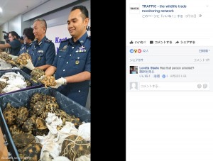 マレーシアのクアラルンプール国際空港で2017年5月、絶滅危惧種のカメ300匹以上が税関職員らにより発見され保護された（画像は『TRAFFIC-the wildlife trade monitoring network　2017年5月15日付Facebook（Elizabeth John/TRAFFIC）』のスクリーンショット）