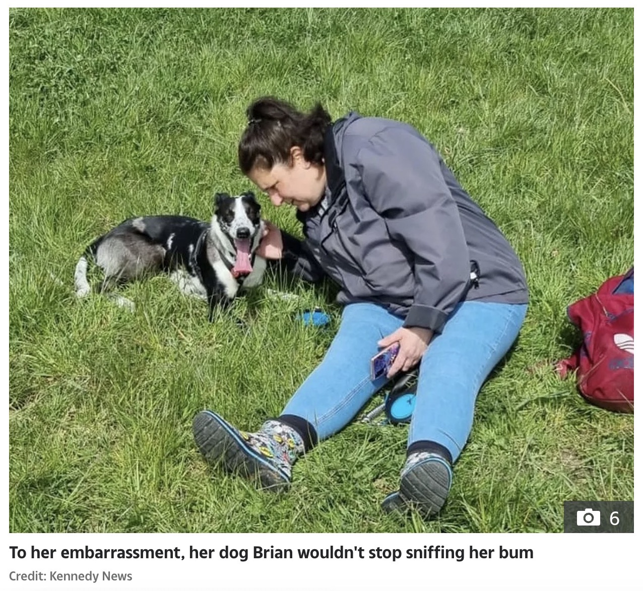 飼い主である女性の臀部のニオイを嗅ぎ続け、異変を知らせたボーダーコリー。女性は「小さなスーパーヒーロー」と称えていた（画像は『The Sun　2023年11月9日付「GRAN’S BEST FRIEND Mortified gran who had to constantly shoo ‘pestering pooch’ Brian credits his bum sniffing with saving her life」（Credit: Kennedy News）』のスクリーンショット）