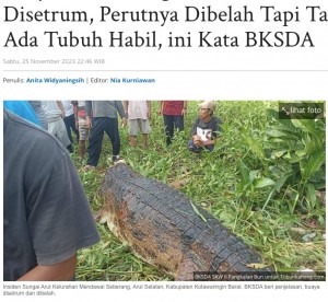 【海外発！Breaking News】水浴び中の少年を襲ったワニ、川で遺体をくわえたまま泳ぐ姿が捉えられる（インドネシア）＜動画あり＞