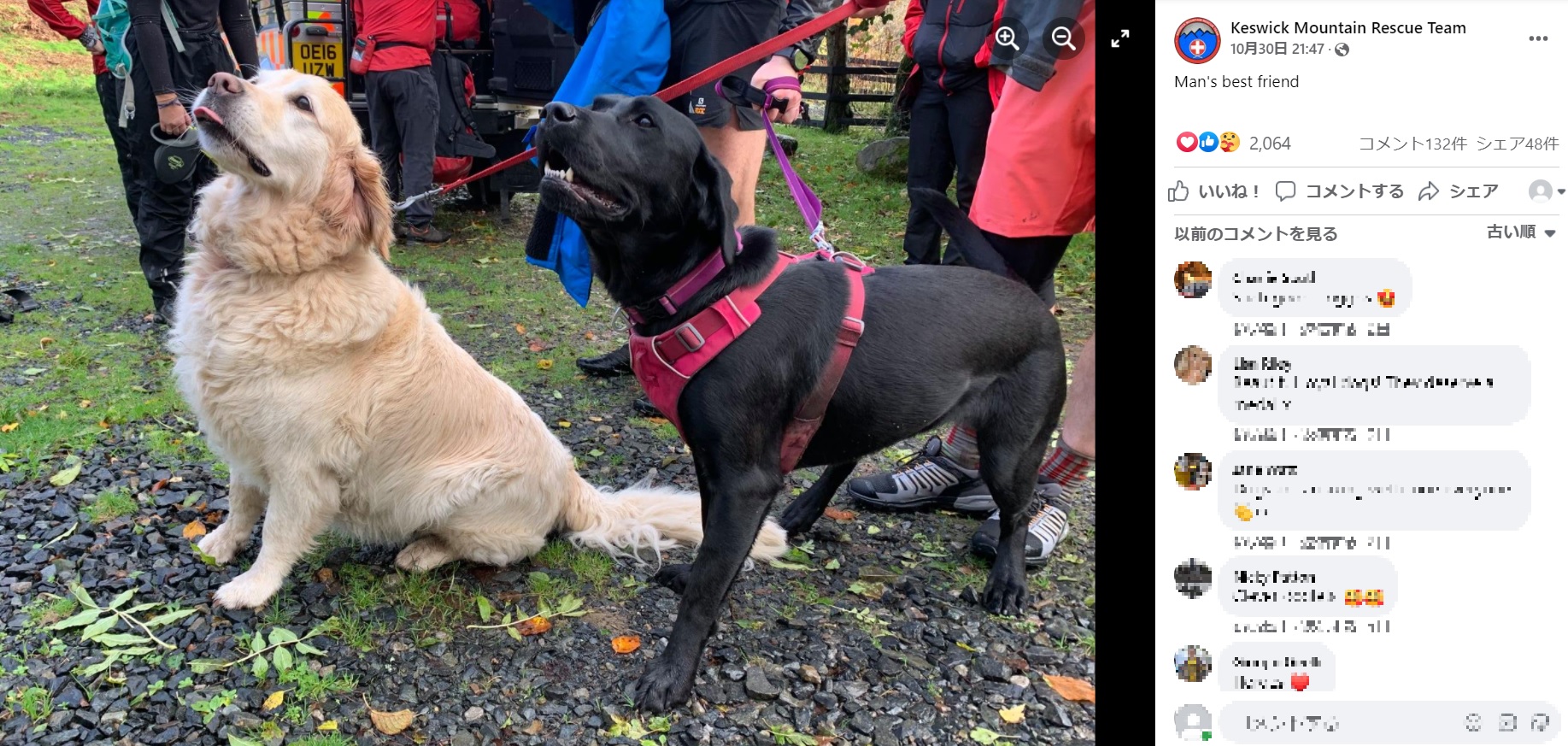 2021年にはイギリス在住の71歳の男性が愛犬2匹と山登り中に発作を起こし、意識を失ってしまった。そんな飼い主の危機を察した愛犬2匹が協力し、迅速に助けを求めて飼い主の命を救った（画像は『Keswick Mountain Rescue Team　2021年10月30日付Facebook「Incident 104」』のスクリーンショット）