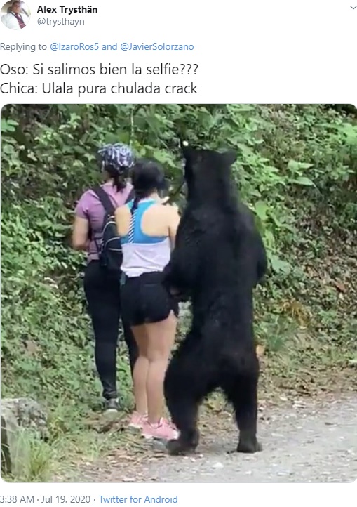 2020年にメキシコでハイキング中クマがすぐ背後に迫るも、あまりにも冷静な女性たちが話題となった（画像は『Alex Trysthän　2020年7月19日付Twitter「Oso: Si salimos bien la selfie???」』のスクリーンショット）
