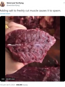 2020年11月にTwitterを騒がせた動画が、今年1月に再び拡散。塩をかけた新鮮な牛肉がプルプル動き出していた（画像は『Weird and Terrifying　2023年1月9日付X「Adding salt to freshly cut muscle causes it to spasm.」』のスクリーンショット）