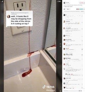 米カリフォルニア州に住む女性は2022年、バスルームから染み出す赤い液体の様子をSNSに投稿。その正体はキャビネットの角の部分に発生したサビだった（画像は『lexyraye　2022年8月10日付TikTok「Replying to ＠laurenmeowington」』のスクリーンショット）