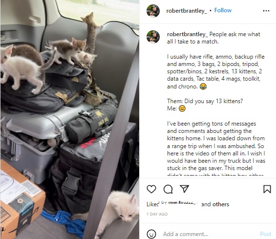 2022年アメリカでは、1匹だけ子ネコを保護したつもりが、次々に12匹現れて、保護した男性は車に13匹乗せて連れ帰ることに（画像は『Robert Brantley　2022年6月9日付Instagram「People ask me what all I take to a match.」』のスクリーンショット）