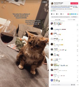 座るとワイングラスとほぼ同じくらいの高さしかないフランシス（画像は『melinaavane　2023年10月20日付TikTok「Always sitting on the table」』のスクリーンショット）