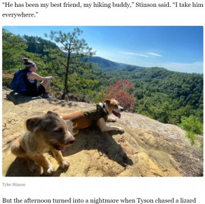 2021年にはアメリカで52メートルの崖から滑落した犬が、ほぼ無傷で生還し「奇跡としか言いようがない」と驚かせた（画像は『LEX18　2021年10月26日付「‘My hiking buddy’: Dog’s rescue in the Red River Gorge considered a ‘miracle’」（Tyler Stinson）』のスクリーンショット）
