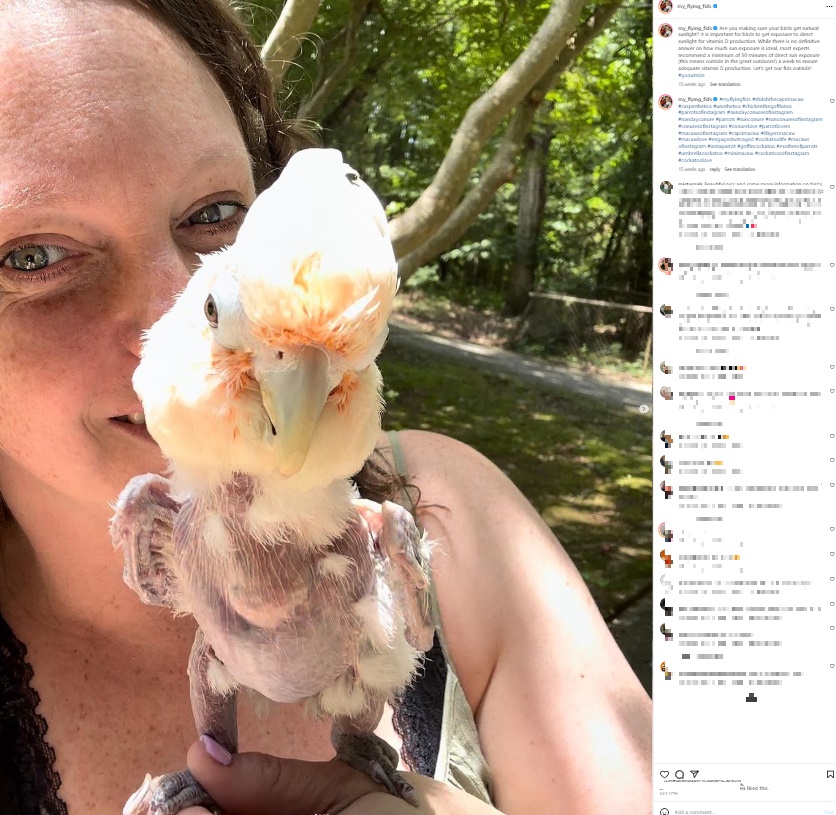 最近は心と体のトラウマがやっと癒え、とても幸せな人生を送っているというチキン。ミシェールさんは「チキンが大好きなの！」と語っている（画像は『Michele Riemersma　2023年7月27日付Instagram「Are you making sure your birds get natural sunlight?」』のスクリーンショット）