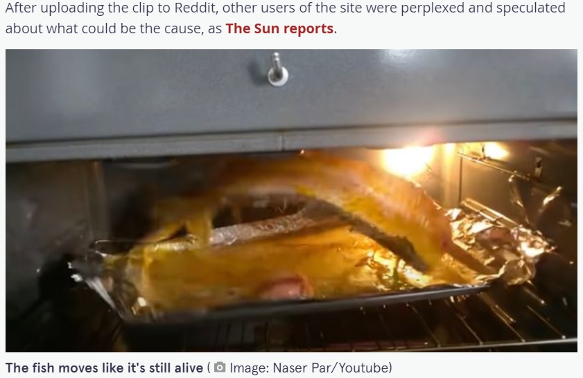 2016年にYouTubeに投稿された動画が、2021年に再び注目を集める。魚の切り身がオーブン内を暴れ回っていた（画像は『The Mirror　2021年8月13日付「Woman horrified as cooking fish leaps around like a ‘scene from the exorcist’」（Naser Par/Youtube）』のスクリーンショット）