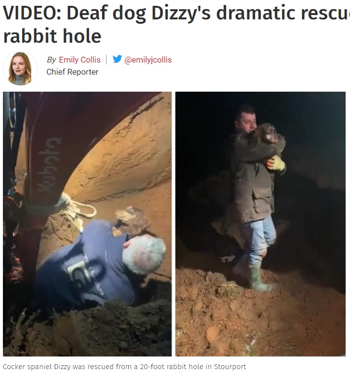 2021年1月、英ウスターシャーで行方不明になった愛犬を必死に捜した飼い主。やみくもに近くにあった穴を掘ると、愛犬が現れて30時間ぶりの再会を果たしていた（画像は『The Kidderminster Shuttle　2021年1月5日付「VIDEO: Deaf dog Dizzy’s dramatic rescue from Stourport rabbit hole」』のスクリーンショット）
