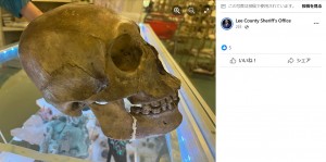 茶色くくすんだ色になったその頭蓋骨は、複数の歯が無くなっていたが、作り物にしてはあまりにリアルな見た目をしていた（画像は『Lee County Sheriff’s Office　2023年11月4日付Facebook「Shopper Finds Human Skull in Local Thrift Store」』のスクリーンショット）