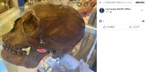 頭蓋骨を発見した買い物客は人類学者で、本物の頭蓋骨である可能性が高いとして保安官事務所に通報した。現物を確認した捜査官も「本物の可能性が高い」とし、検死局で確認が行われている（画像は『Lee County Sheriff’s Office　2023年11月4日付Facebook「Shopper Finds Human Skull in Local Thrift Store」』のスクリーンショット）