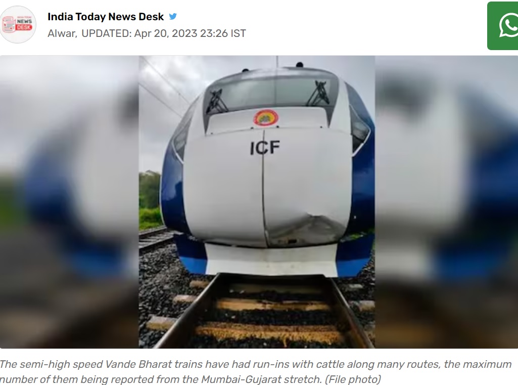 印ラージャスターン州で今年4月、準高速列車が牛と衝突。衝撃で飛ばされた牛が30メートル離れた場所にいた男性を直撃する事故が発生した。男性は即死だった（画像は『India Today　2023年4月20日付「Rajasthan: Cow, hit by Vande Bharat train, falls on man peeing on tracks, killing him」（File photo）』のスクリーンショット）