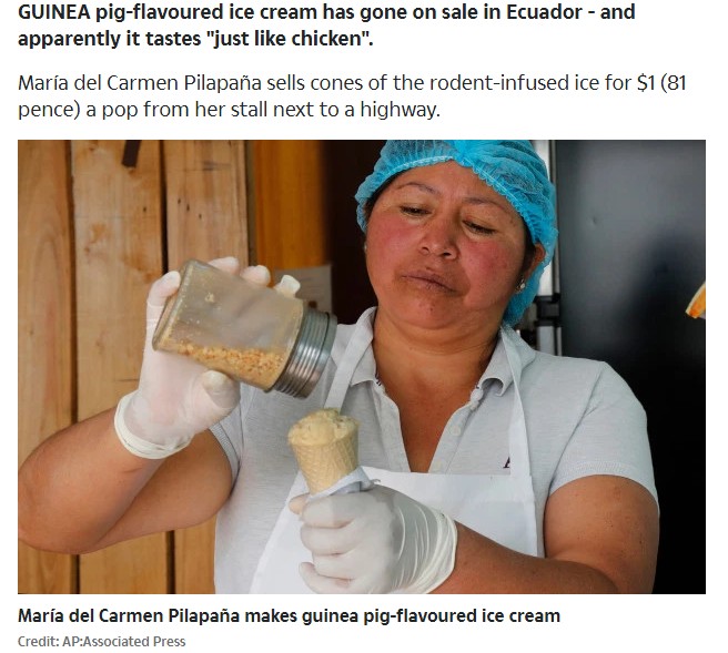 エクアドルの小さなアイスクリーム店で2019年、“モルモット風味”のアイスクリームが登場。材料には、煮詰めてペースト状にしたモルモットの肉が入っているという（画像は『The Sun　2019年10月5日付「PIGGING OUT Bizarre Guinea pig flavoured ice cream introduced by stall owner in Ecuador」（Credit: AP:Associated Press）』のスクリーンショット）