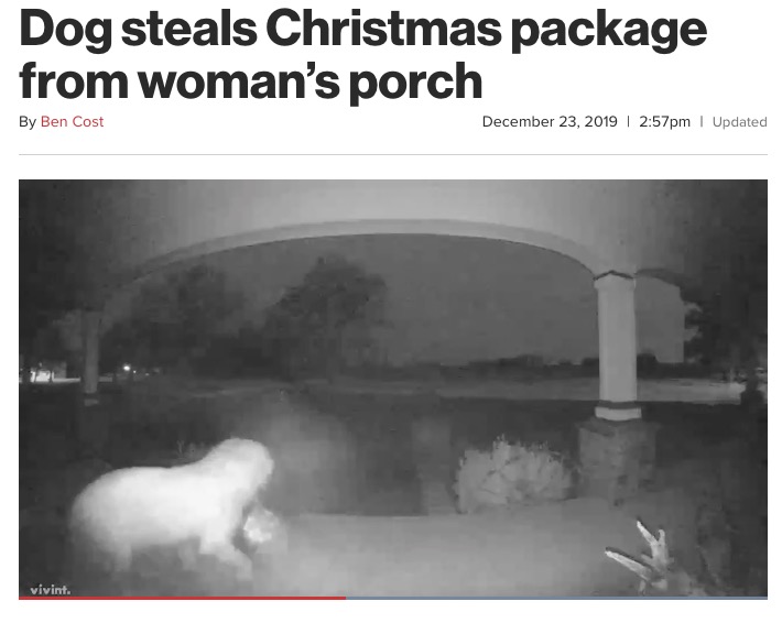 2019年12月、米オクラホマ州のある家にクリスマスプレゼントが宅配便で届く予定だったが、荷物が到着する頃になっても届く気配がなかった。念のためにドアに設置した防犯カメラを確認したところ、近所の犬が持ち去っていたことが明らかになった（画像は『New York Post　2019年12月23日付「Dog steals Christmas package from woman’s porch」』のスクリーンショット）