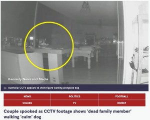 豪ニュー・サウス・ウェールズ州在住の女性が今年1月、自宅内に設置していた監視カメラの映像をチェックしたところ、部屋の中を歩き回る犬のそばに白い人影があることに気づいた（画像は『The Mirror　2023年1月19日付「Couple spooked as CCTV footage shows ‘dead family member’ walking ‘calm’ dog」（Image: Kennedy News and Media）』のスクリーンショット）
